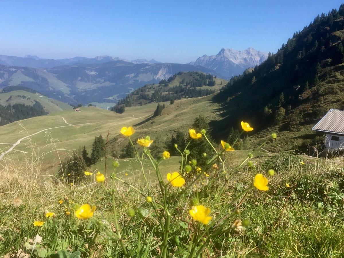Hotel Metzgerwirt Kirchberg in Tirol Esterno foto